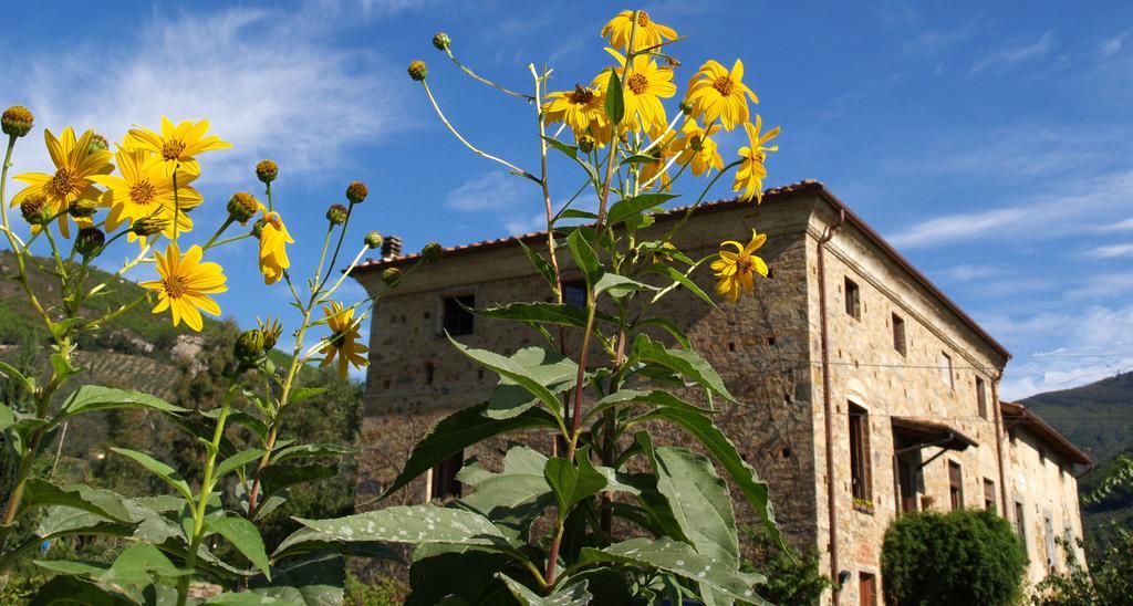 Al Palazzaccio Villa Calci Cameră foto