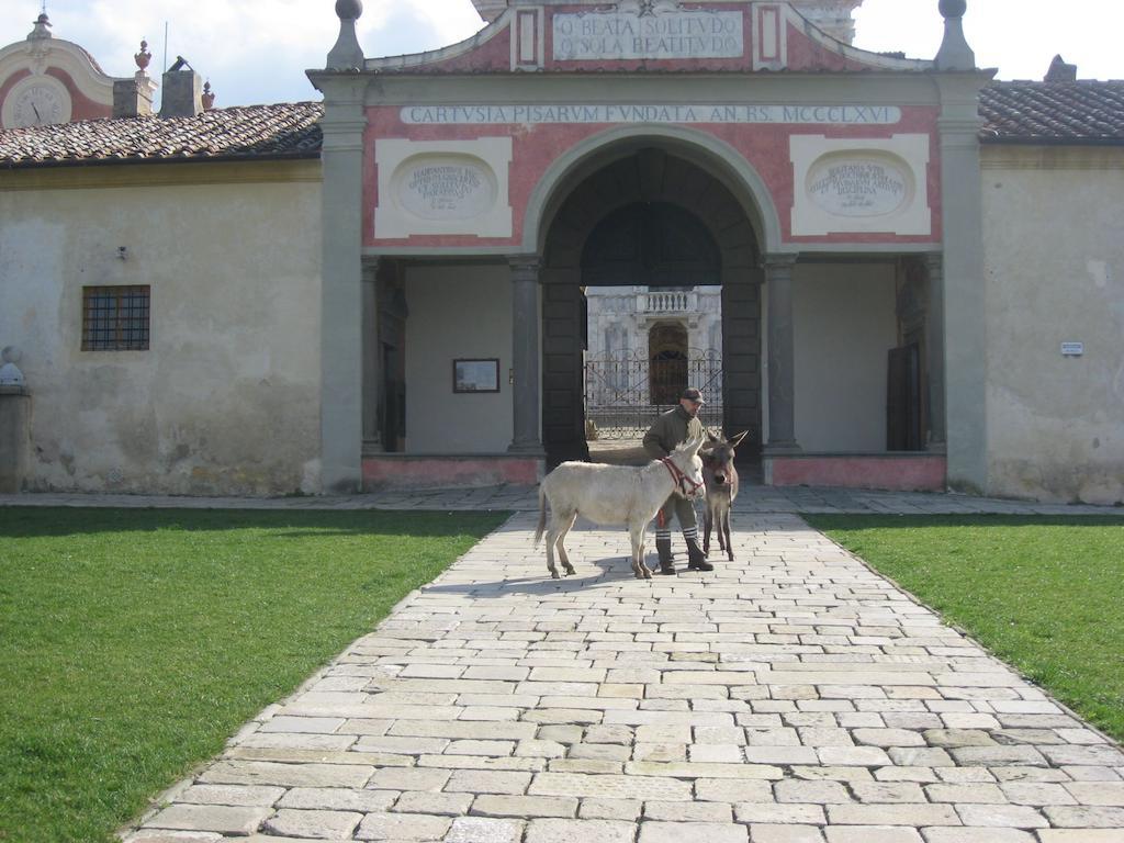 Al Palazzaccio Villa Calci Exterior foto